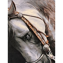 Persien Täbriz Araber Pferde Bild Wolle auf Seide Maß 75 x 46 cm