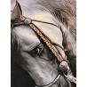Persien Täbriz Araber Pferde Bild Wolle auf Seide Maß 75 x 46 cm