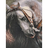 Persien Täbriz Araber Pferde Bild Wolle auf Seide Maß 75 x 46 cm
