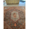 Persien Bidjar geometrisches Muster feine Knüpfung seltenes Maß 259 cm x 243 cm